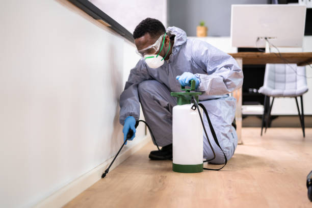 Best Pest Exclusion Services  in Toronto, OH